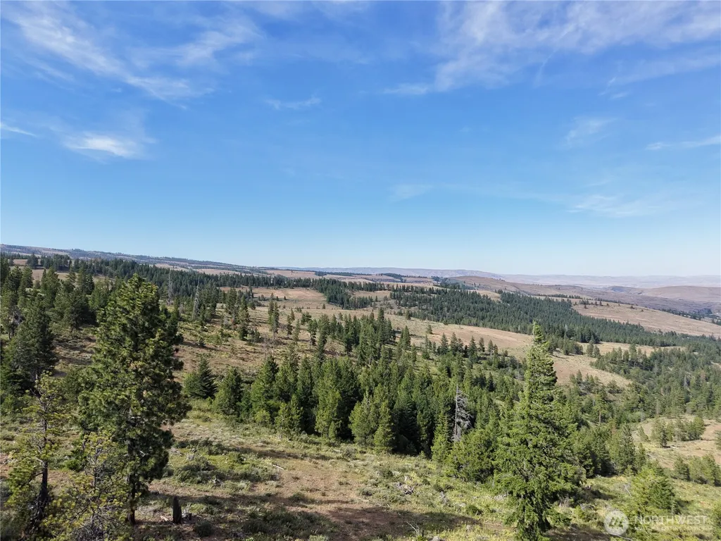 1524 Nasty Creek Road Yakima WA 98903