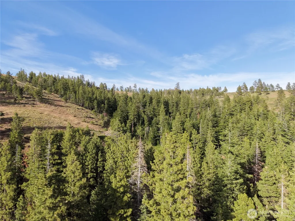 1524 Nasty Creek Road Yakima WA 98903