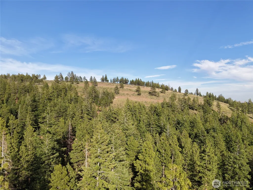 1524 Nasty Creek Road Yakima WA 98903