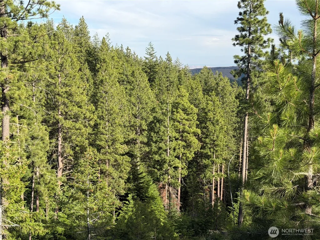 1524 Nasty Creek Road Yakima WA 98903
