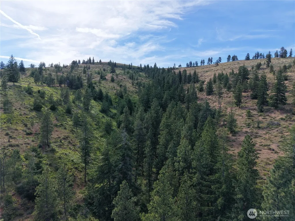 1524 Nasty Creek Road Yakima WA 98903