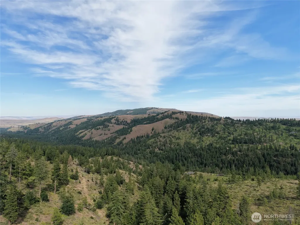 1524 Nasty Creek Road Yakima WA 98903