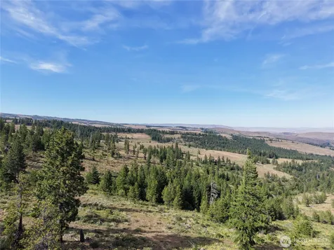 1524 Nasty Creek Road Yakima WA 98903