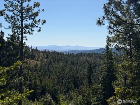 1524 Nasty Creek Road Yakima WA 98903