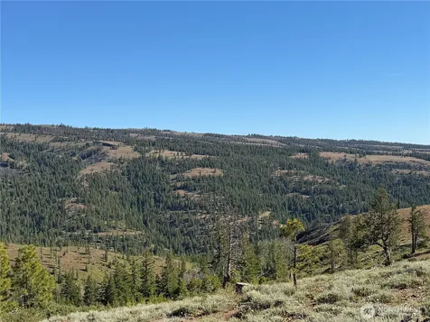 1524 Nasty Creek Road Yakima WA 98903