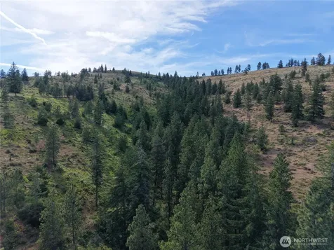 1524 Nasty Creek Road Yakima WA 98903