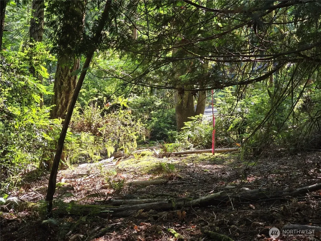 655 E Pointes Drive E Shelton WA 98584