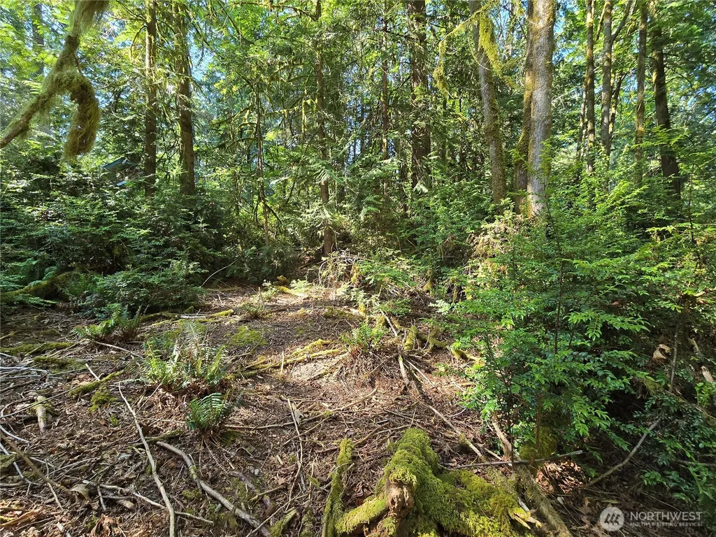 655 E Pointes Drive E Shelton WA 98584