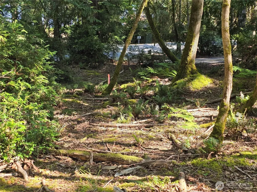 655 E Pointes Drive E Shelton WA 98584