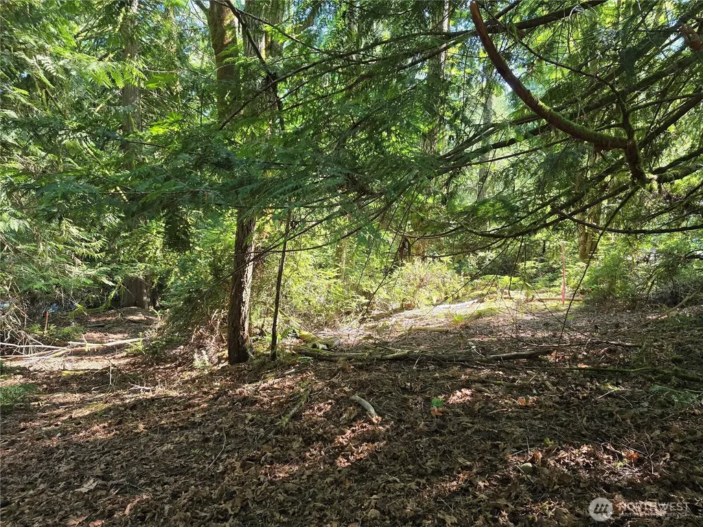 655 E Pointes Drive E Shelton WA 98584