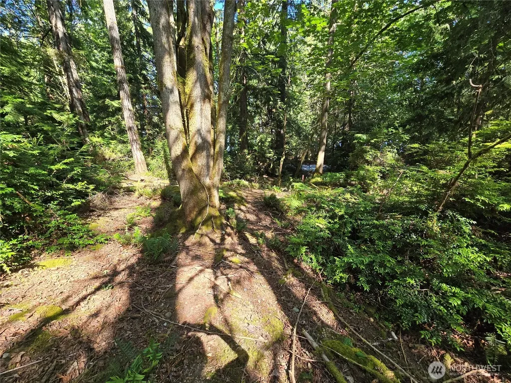 655 E Pointes Drive E Shelton WA 98584