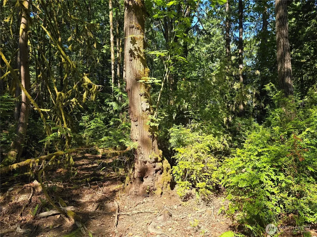 655 E Pointes Drive E Shelton WA 98584