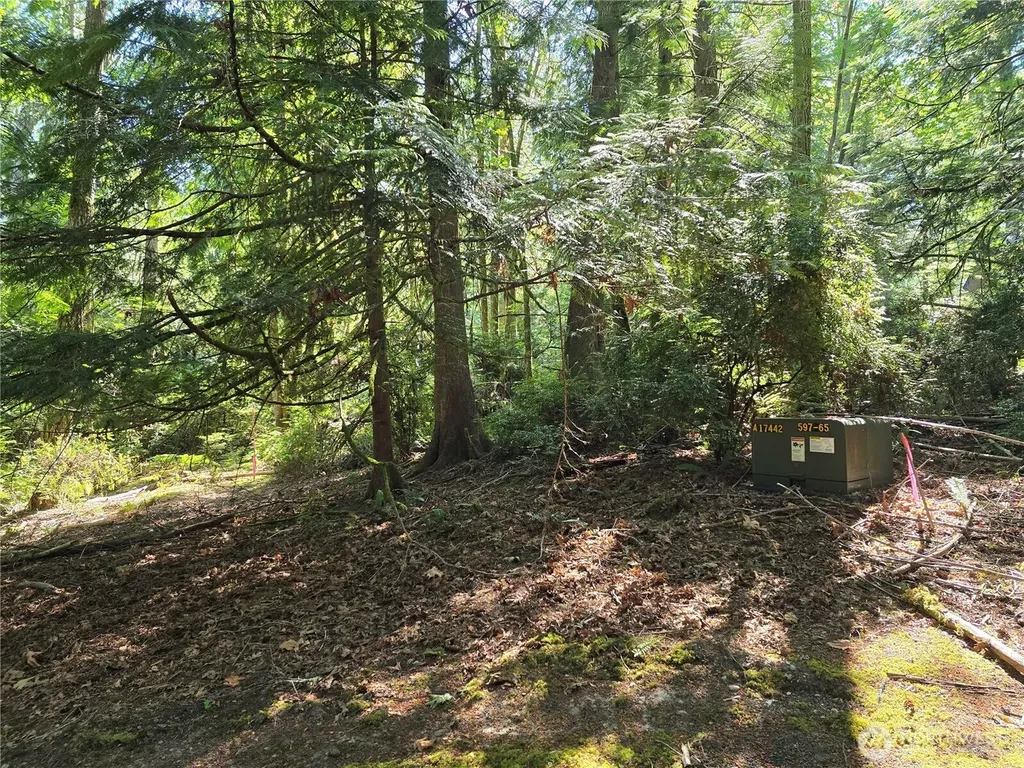 655 E Pointes Drive E Shelton WA 98584