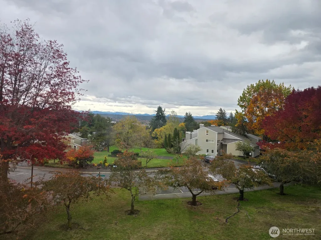 7024 155th Place Place NE Redmond WA 98052