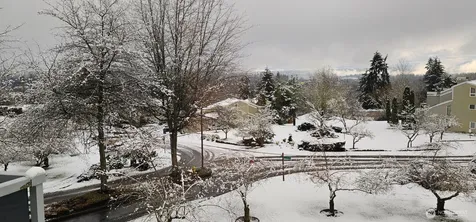 7024 155th Place Place NE Redmond WA 98052