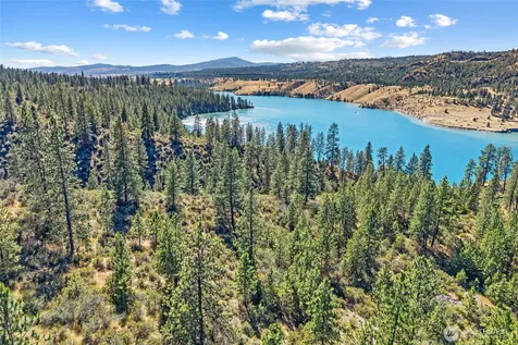 3390 Winterwood Lane E Davenport WA 99122