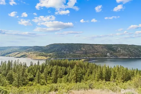 3390 Winterwood Lane E Davenport WA 99122