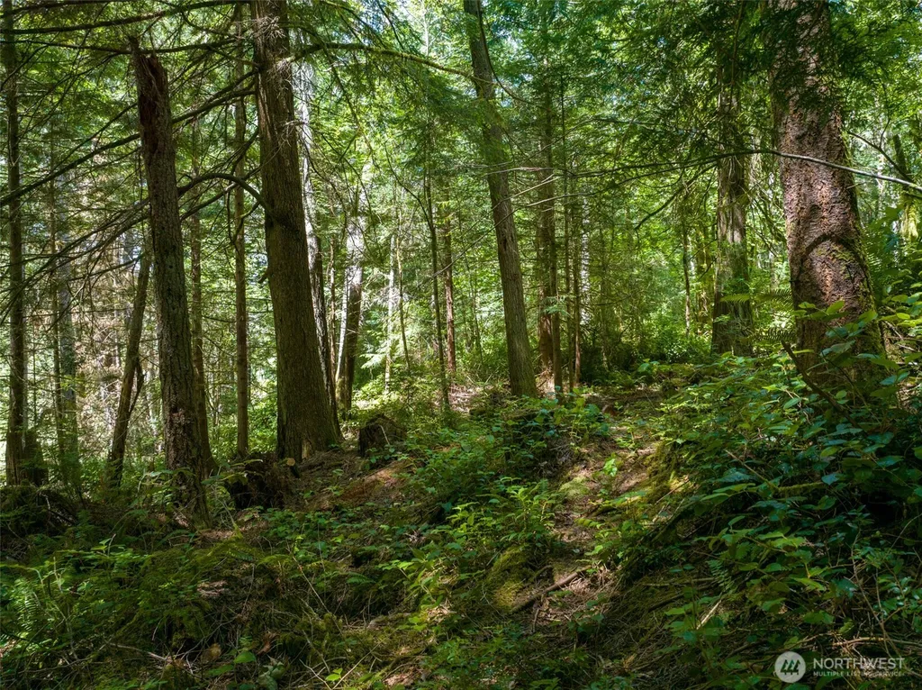 0 Bucsit Lot B Bainbridge Island WA 98110