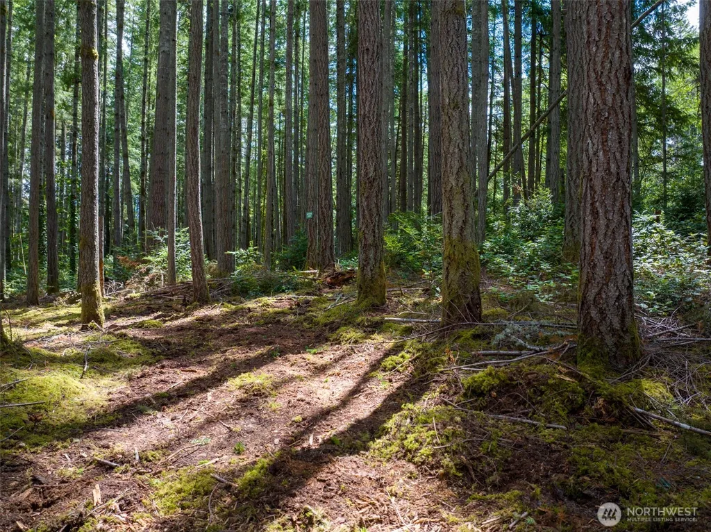 0 Bucsit Lot B Bainbridge Island WA 98110