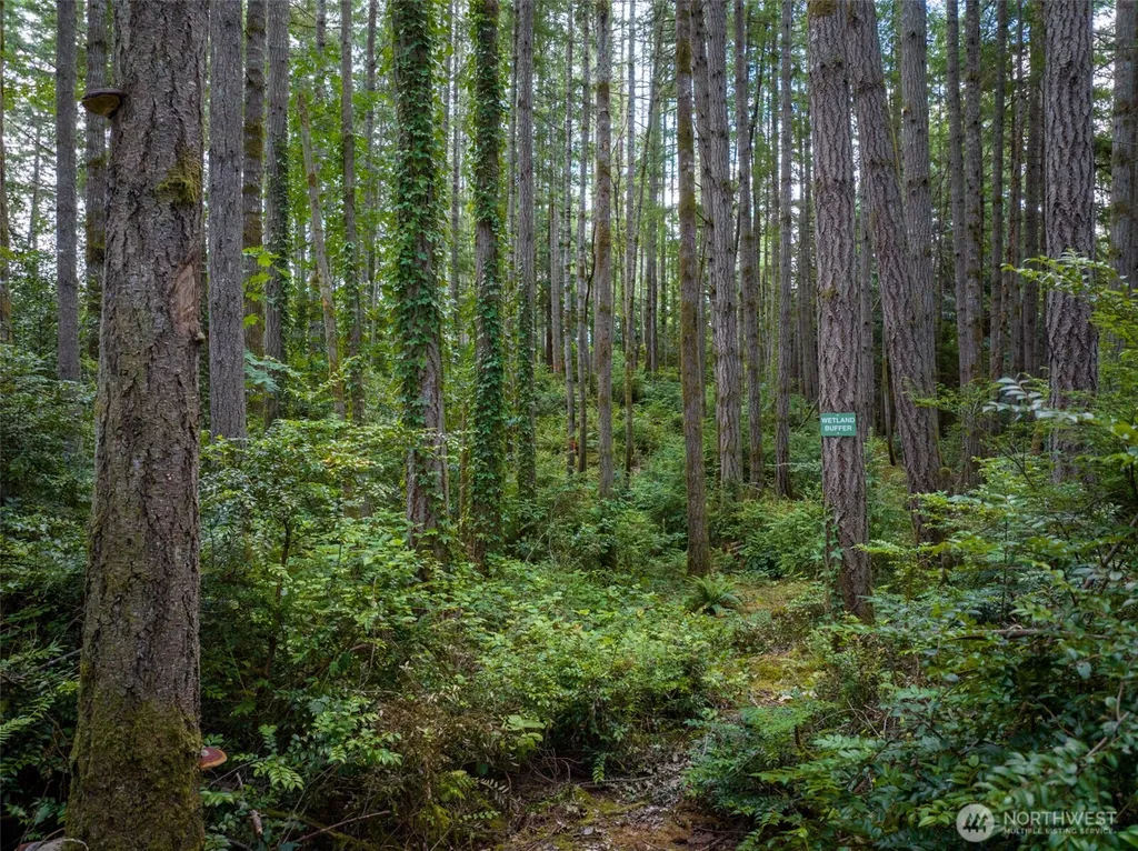 0 Bucsit Lot B Bainbridge Island WA 98110