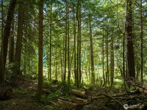0 Bucsit Lot B Bainbridge Island WA 98110