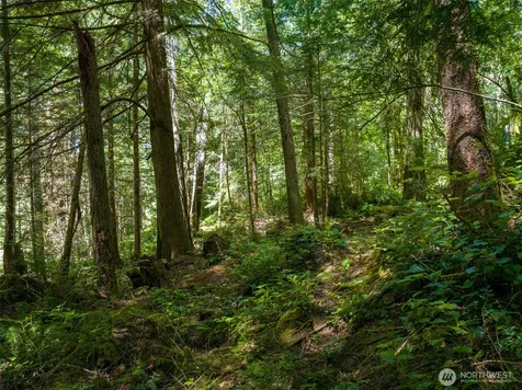 0 Bucsit Lot B Bainbridge Island WA 98110