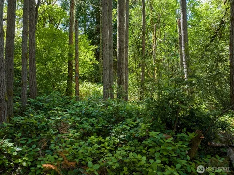 0 Bucsit Lot B Bainbridge Island WA 98110