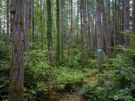 0 Bucsit Lot B Bainbridge Island WA 98110