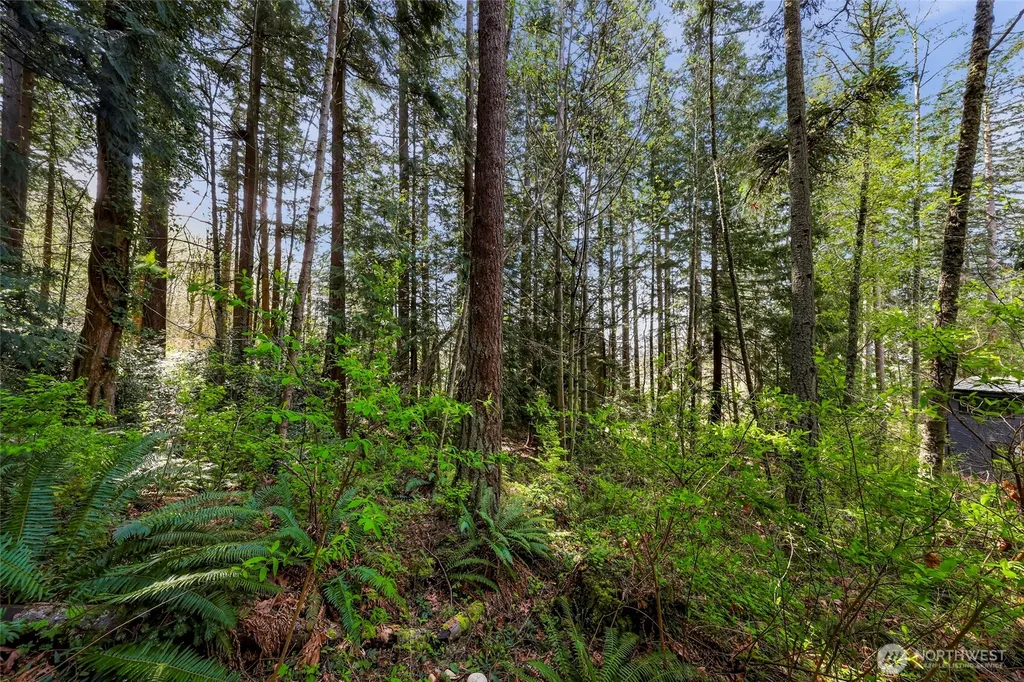 1800 40th Place Bellingham WA 98229