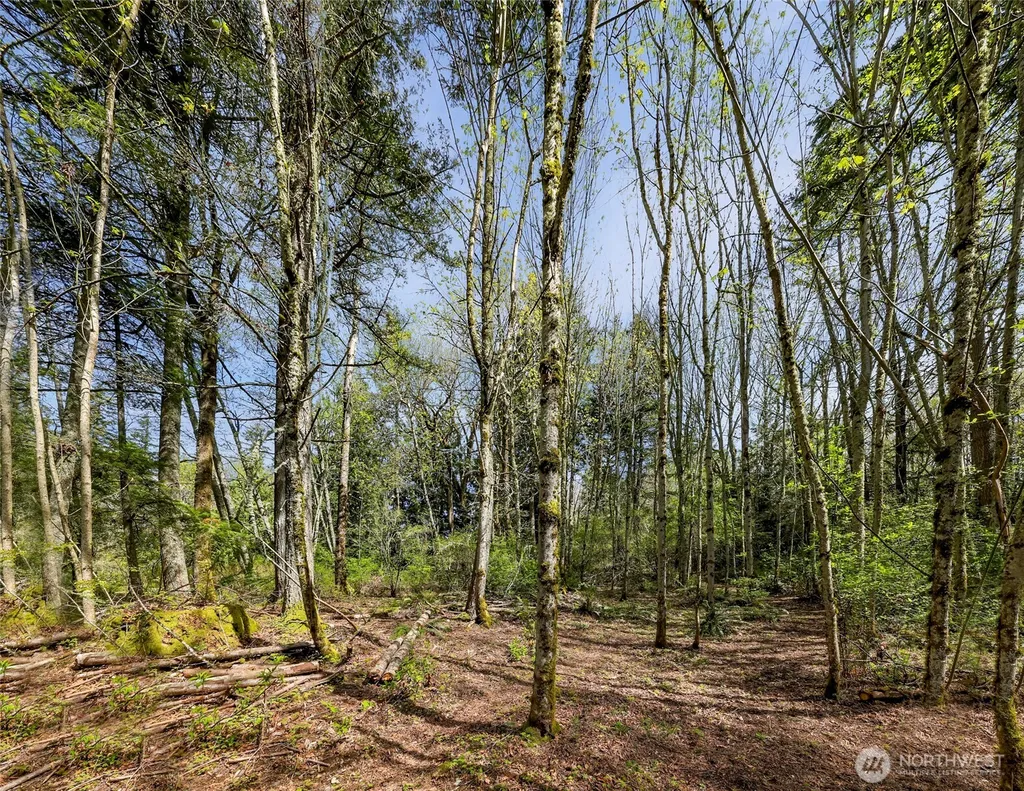 1800 40th Place Bellingham WA 98229