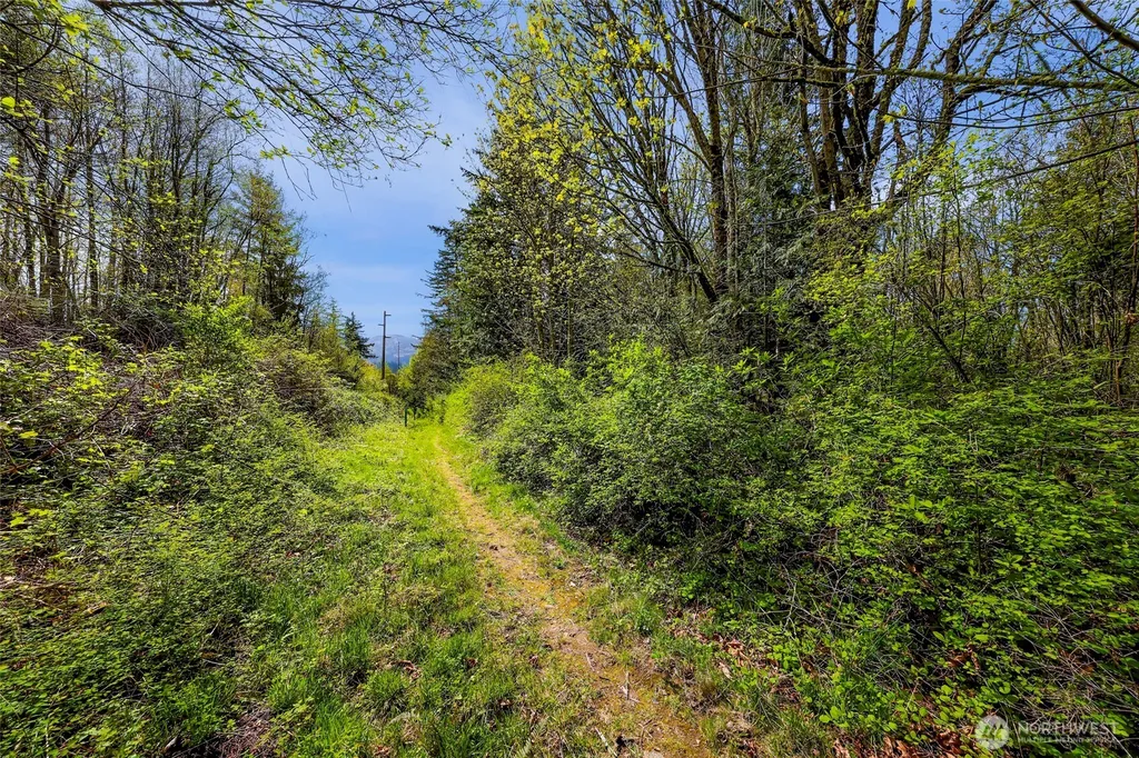 1800 40th Place Bellingham WA 98229