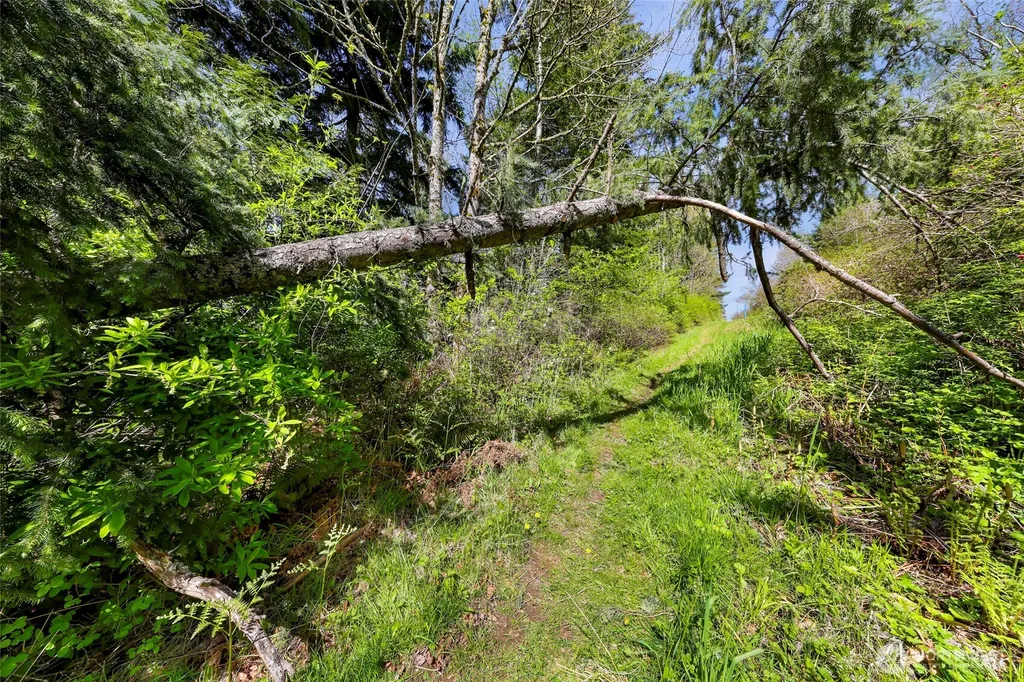 1800 40th Place Bellingham WA 98229