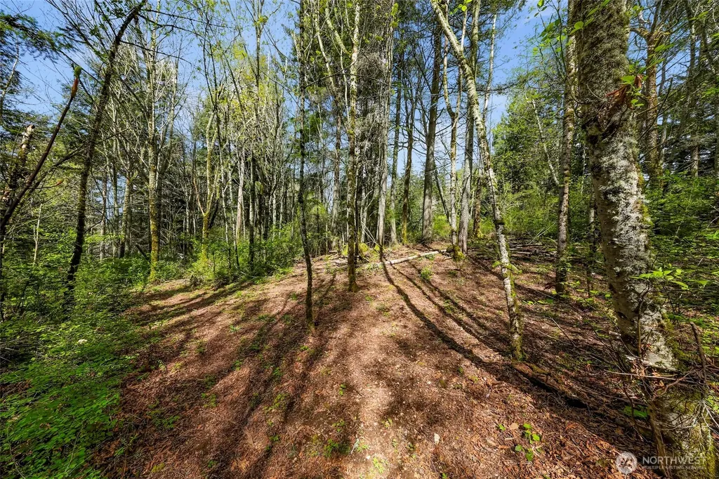 1800 40th Place Bellingham WA 98229