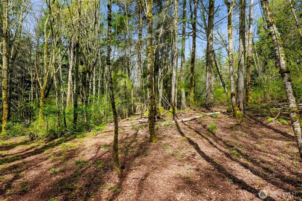 1800 40th Place Bellingham WA 98229