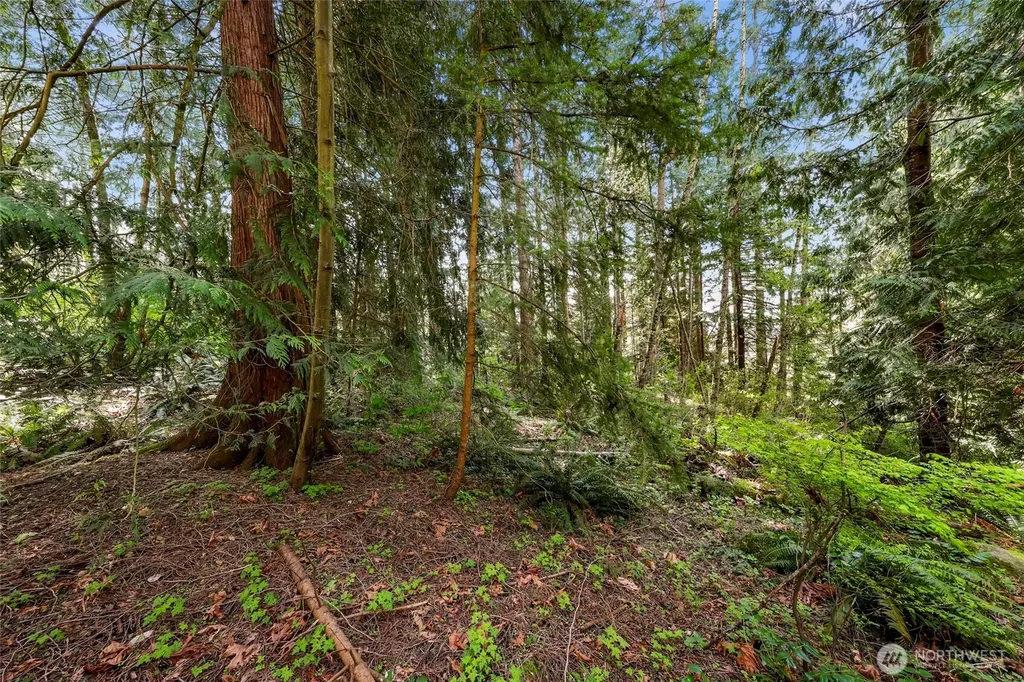 1800 40th Place Bellingham WA 98229