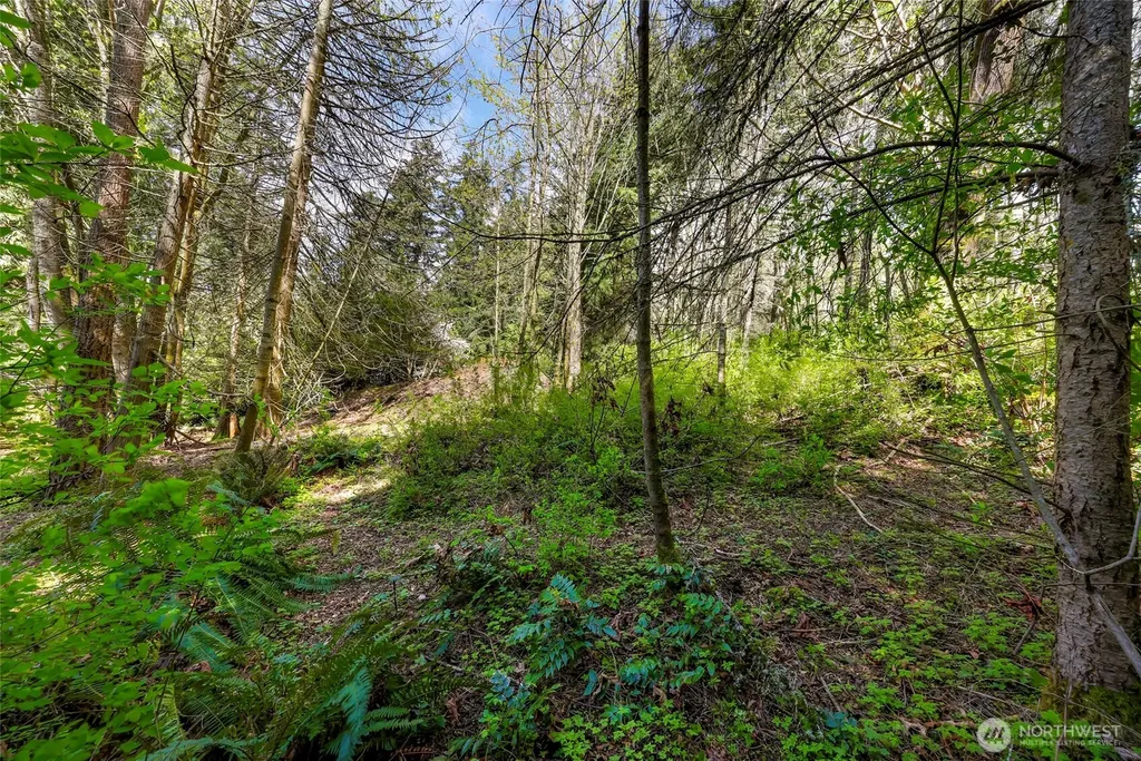 1800 40th Place Bellingham WA 98229