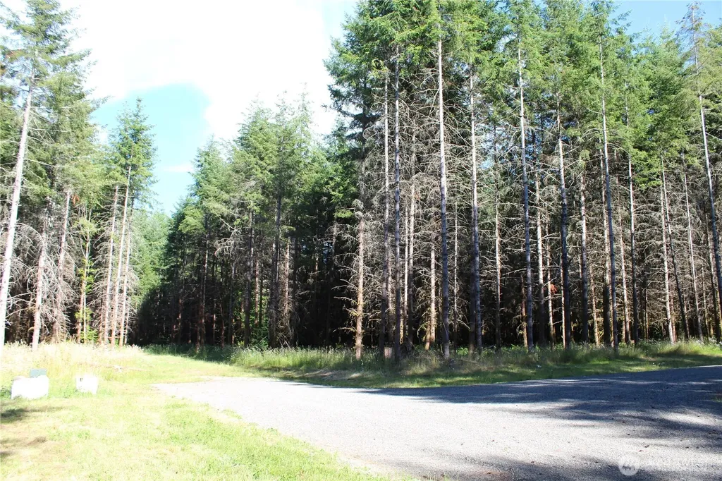 152 Onalaska Onalaska WA 98570