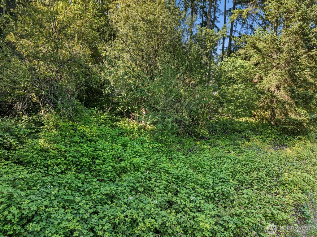 4618 Timber Lane NW Gig Harbor WA 98335