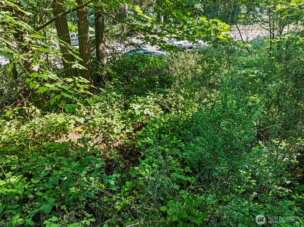 4618 Timber Lane NW Gig Harbor WA 98335