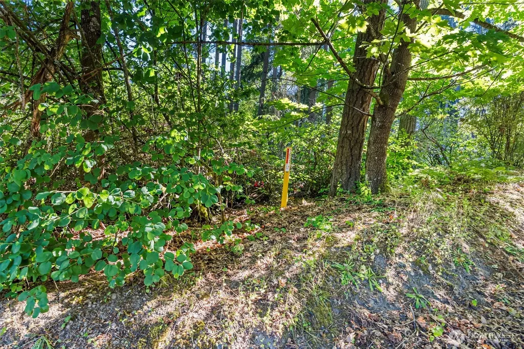 4618 Timber Lane NW Gig Harbor WA 98335
