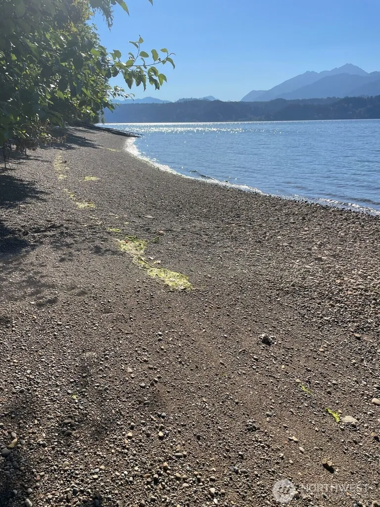 331 NE Capstan Rock Road Tahuya WA 98588