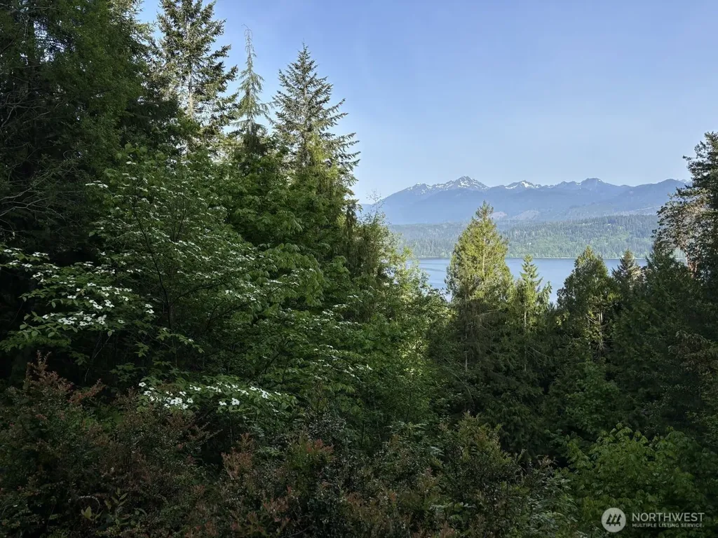 331 NE Capstan Rock Road Tahuya WA 98588