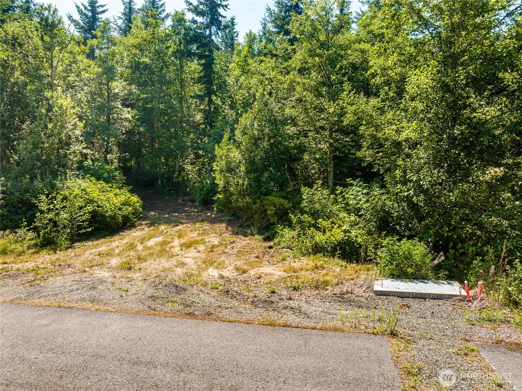 19 Academy Highlands Bellingham WA 98226