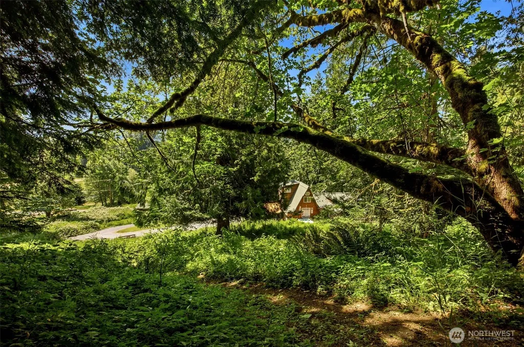 33217 Mount Tahoma Canyon Road E Ashford WA 98304