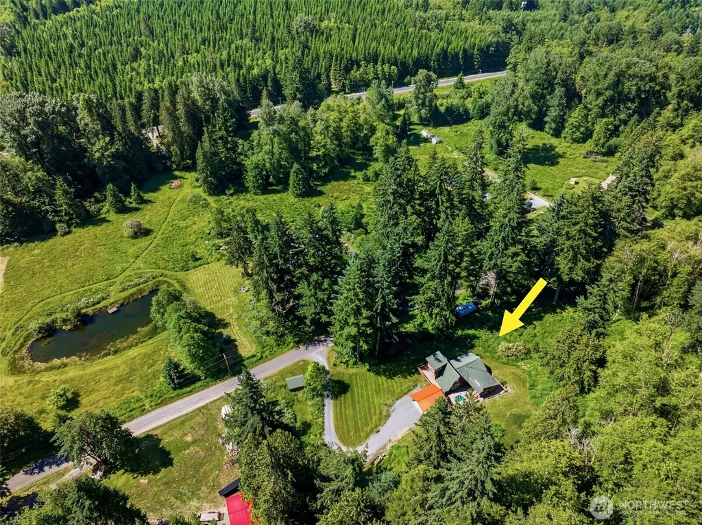 33217 Mount Tahoma Canyon Road E Ashford WA 98304