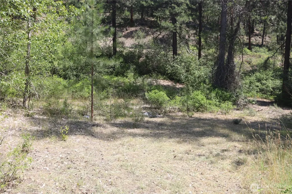 613 East Chewuch Road Winthrop WA 98862