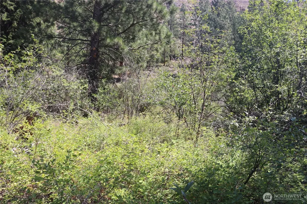 613 East Chewuch Road Winthrop WA 98862