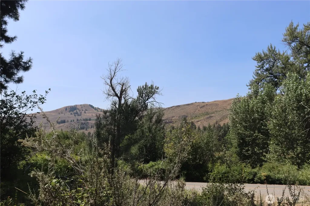 613 East Chewuch Road Winthrop WA 98862