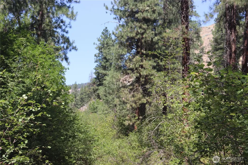 613 East Chewuch Road Winthrop WA 98862