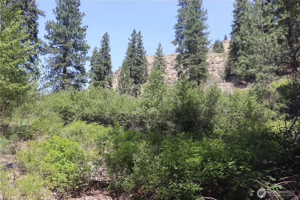 613 East Chewuch Road Winthrop WA 98862